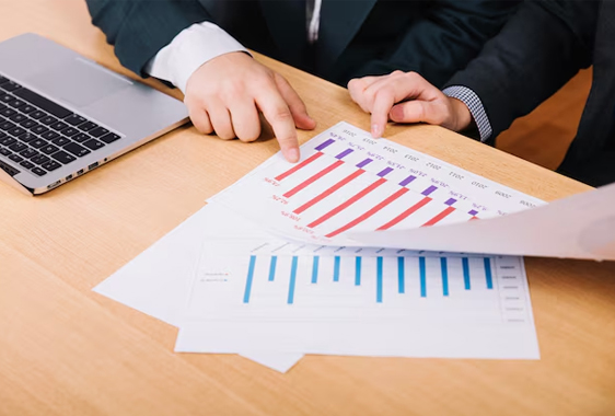 P&L Statements (Profit & Loss) Services